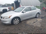 Honda Accord 2.4 Ex-L 1HGCP2F85AA036359 снимка