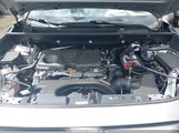 Toyota Rav4 Xle 2T3W1RFVXKW006546 снимка