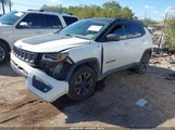 Jeep Compass Trailhawk 4X4 3C4NJDDB8JT307538 снимка
