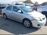 Toyota Corolla Le 2T1BU4EEXAC318563 fotografie