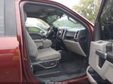 Ford F-150 Xlt 1FTEW1EF4HFA65644 снимка