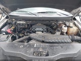 Ford F-150 Fx4/Lariat/Xl/Xlt 1FTPX14576NA78311 fotografie