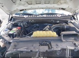 Ford F-150 Xl 1FTNF1C50LKD79303 fotografie