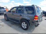 Ford Escape Xlt 1FMYU031X5KA16323 снимка