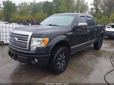 Ford F-150 Fx4/Harley-Davidson/King Ranch/Lariat/Platinum/Xl/Xlt 1FTFW1EV9AFB62453 fotografie