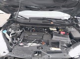 Honda Cr-V Lx 2HKRW5H34KH416608 снимка