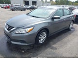 Nissan Altima 2.5/2.5 S/2.5 Sl/2.5 Sr/2.5 Sv 1N4AL3AP1GN312128 fotografie