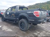 Ford F-150 Platinum 1FTFW1ETXCFB52399 снимка