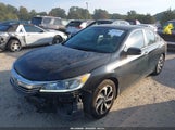 Honda Accord Ex-L 1HGCR2F86GA046479 снимка