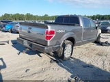 Ford F-150 Platinum 1FTFW1ET3EFA84417 снимка