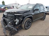 Chevrolet Equinox Awd Rs 3GNAXTEG7SL284800 fotografie