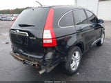 Honda Cr-V Ex-L 5J6RE4H77AL016983 photo