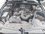 Ford Mustang V6 Deluxe/V6 Premium 1ZVHT80N385120195 fotografie