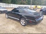 Ford Mustang V6 Deluxe/V6 Premium 1ZVHT80N385120195 fotografie