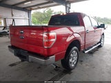 Ford F-150 Xlt 1FTFW1CT7DFA50692 снимка