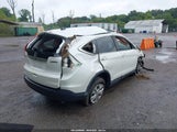 Honda Cr-V Ex-L 5J6RM4H75EL114063 снимка