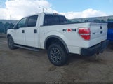 Ford F-150 Fx4/Harley-Davidson/King Ranch/Lariat/Platinum/Xl/Xlt 1FTFW1EV9AFA30325 fotografie