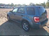 Ford Escape Xlt 1FMCU9DG6AKC61227 снимка