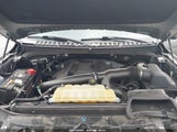 Ford Expedition Xlt 1FMJU1HT9KEA01095 снимка