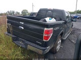 Ford F-150 Fx4/King Ranch/Lariat/Platinum/Stx/Xl/Xlt 1FTFW1EF6EFC51783 photo