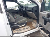 Ford F-150 Xl 1FTEX1CP2HFA34479 снимка