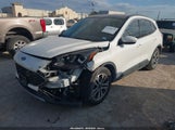 Ford Escape Sel 1FMCU0H66MUB32636 снимка