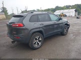 Jeep Cherokee Trailhawk 1C4PJMBS5EW161143 снимка