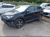 Toyota Rav4 Xle 2T3RFREV4JW810307 снимка