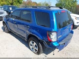 Ford Escape Xlt 1FMCU9D7XBKC61779 снимка