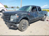 Ford F-150 Fx4 1FTFW1EF5EFA78810 снимка