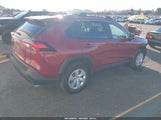 Toyota Rav4 Le JTMG1RFVXKD014342 снимка