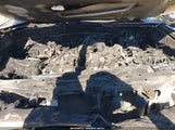 Toyota 4Runner Trd Off Road Premium JTEBU5JR7J5545247 снимка