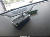 Miniaturka zdjęcia 11