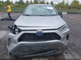 Toyota Rav4 Hybrid Xle Premium 4T3B6RFV4MU047774 снимка