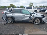 Toyota Rav4 Hybrid Xle Premium 4T3B6RFV4MU047774 photo