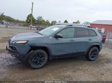 Jeep Cherokee Trailhawk 1C4PJMBS6FW675973 снимка