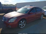Nissan Maxima 3.5 Sl 1N4BA41E47C850056 снимка