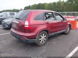 Honda Cr-V Ex-L 5J6RE48788L049419 photo