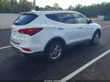 Hyundai Santa Fe Sport 2.4L 5NMZU3LB0HH012431 fotografie