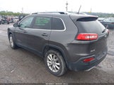Jeep Cherokee Limited 4X4 1C4PJMDS6HW639765 fotografie