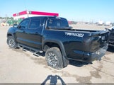 Toyota Tacoma Trd Off-Road 3TMCZ5AN1LM323856 photo