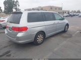 Honda Odyssey Ex-L 5FNRL3H76AB075354 снимка