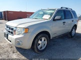 Ford Escape Xlt 1FMCU03178KC16588 снимка