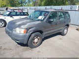 Ford Escape Xls 1FMCU92133KD07436 fotografie