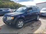Ford Escape Xlt 1FMCU0DG8BKC21583 снимка