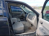 Ford Escape Xlt 1FMCU0DG8BKC21583 fotografie