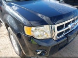 Ford Escape Xlt 1FMCU0DG8BKC21583 fotografie