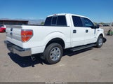 Ford F-150 Xlt 1FTFW1CT2DKD26820 снимка