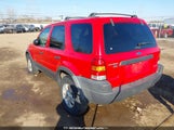 Ford Escape Xlt 1FMYU03132KD33596 fotografie
