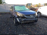 Honda Cr-V Lx 2HKRM4H3XDH616864 снимка